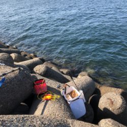 テトラでウキ釣り