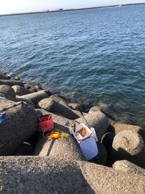 テトラでウキ釣り