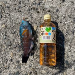 秋のファミリーフィッシング