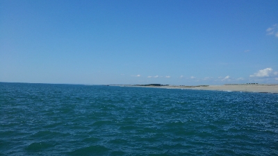 やっと海回復？