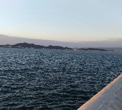 10/11釣果タチウオ入れ食いでした！