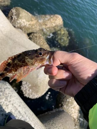 ライトゲーム&ショアジギ！1投目で…