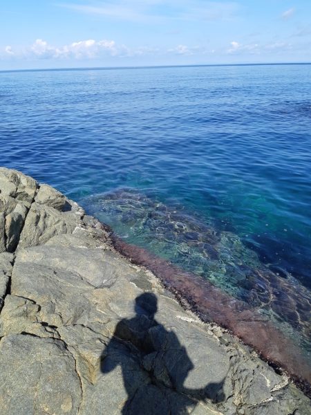 イカの気持ち３