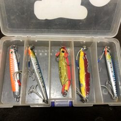 ツバス7マゴチ1