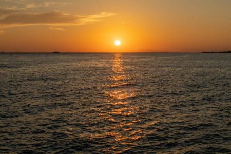 ハゲ鍋のはずが