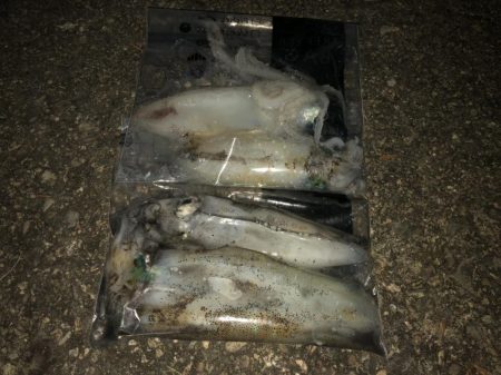 半月ぶりの釣果