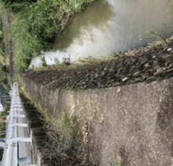 10分フィッシング