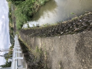 10分フィッシング