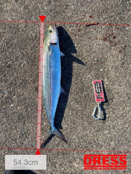 メジロおかわり！