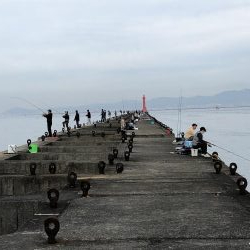 ブリはいずこに