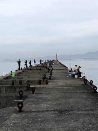 ブリはいずこに