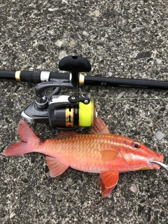 さすが室戸岬！