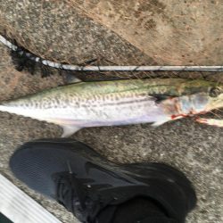 全部が美味いやつ!3目達成