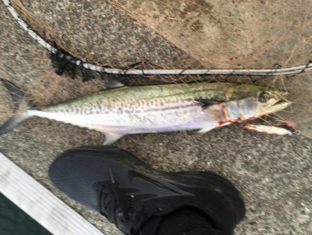 全部が美味いやつ!3目達成