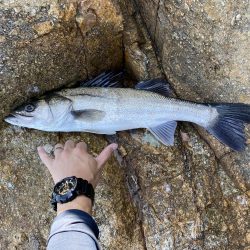 短時間　ショアジギ