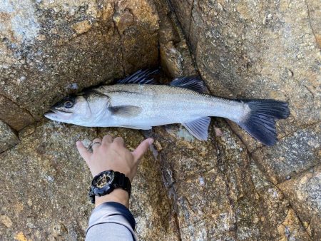 短時間　ショアジギ