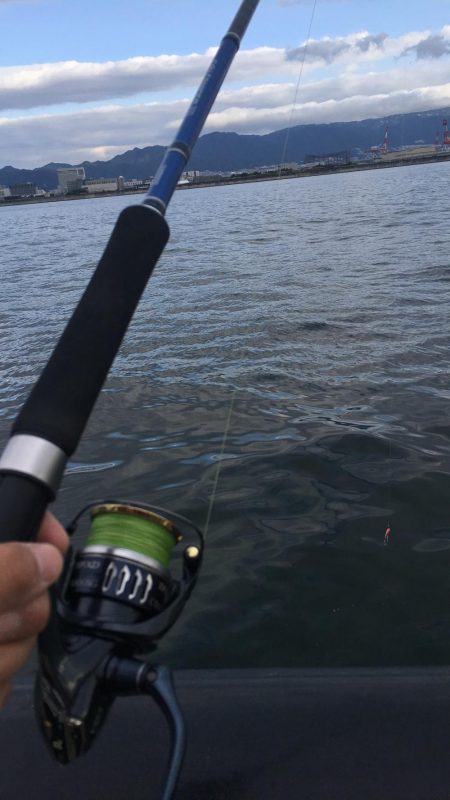 久しぶりのメジロ!