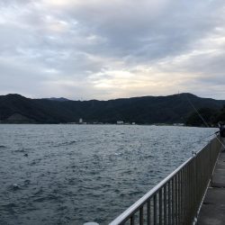 大潮チャレンジ