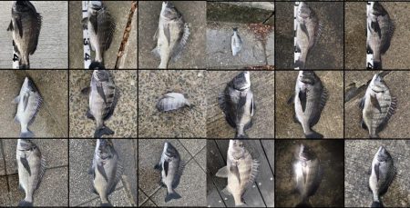 イチノ兄弟、釣果！