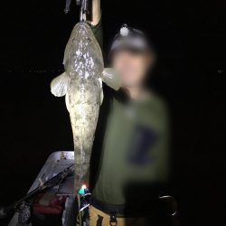 シーバスandマゴチ祭り