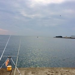 大きな赤と黒とカレイ