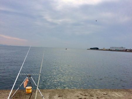 大きな赤と黒とカレイ