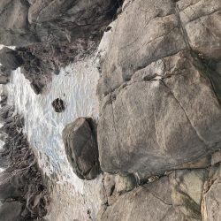 今季初！！朝マズメにタチウオ釣果！！