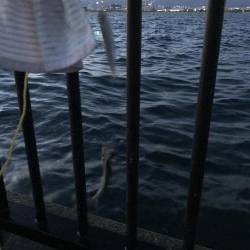 久しぶりの空港