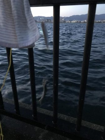 久しぶりの空港