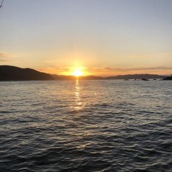 バチコンからのジギング