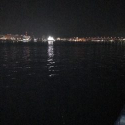 今シーズン初サゴシ！