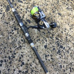 秋のトップ青物