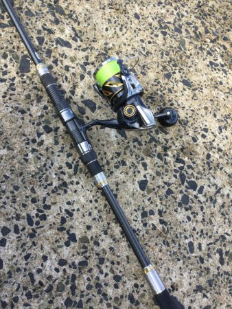 秋のトップ青物