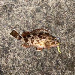 雨の中でも釣り