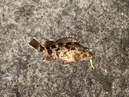 雨の中でも釣り