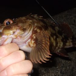 肌寒いけど水はまだ温い