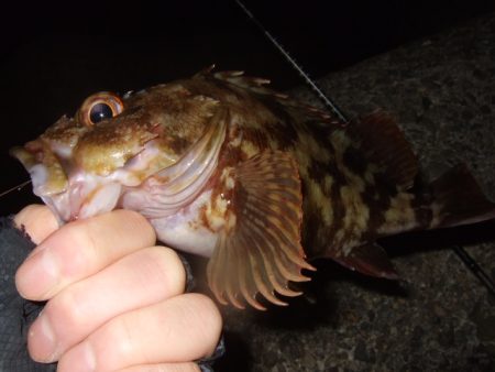 肌寒いけど水はまだ温い