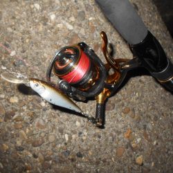 取りこぼしばっかり…。