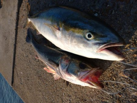 トップゲーム!!