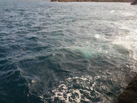 ヒラマサ狙いが。。