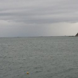 今ｼｰｽﾞﾝ初青物