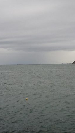 今ｼｰｽﾞﾝ初青物