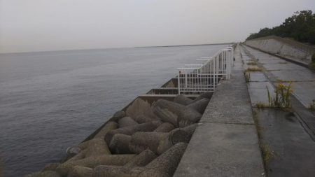 サゴシ狙いが⁉