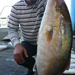 キャスティング・ジギング