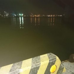 今日もダメだ、シーバスはどこ？