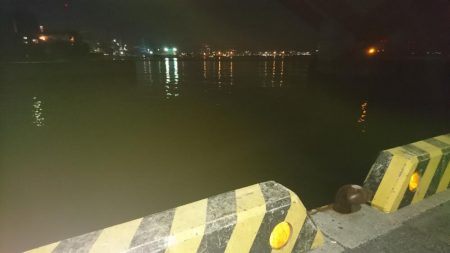 今日もダメだ、シーバスはどこ？