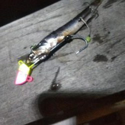 タチウオ2 サバ2