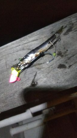 タチウオ2 サバ2