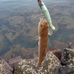 コアマンだけで勝負！