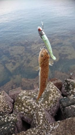 コアマンだけで勝負！